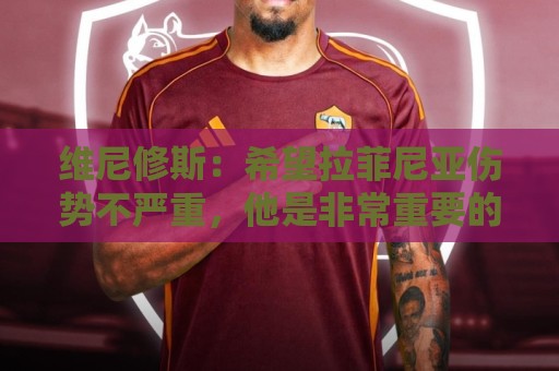 维尼修斯：希望拉菲尼亚伤势不严重，他是非常重要的球员