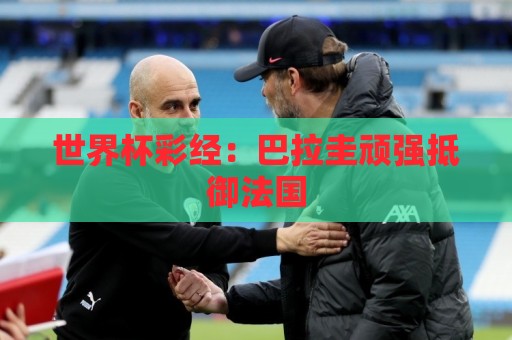 世界杯彩经：巴拉圭顽强抵御法国