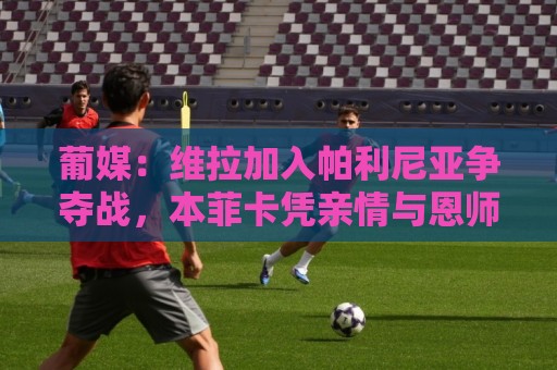 葡媒:维拉加入帕利尼亚争夺战,本菲卡凭亲情与恩师竞争 葡媒:维拉加入帕利尼亚争夺战,本菲卡凭亲情与恩师竞争