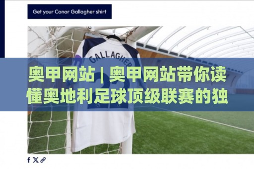 奥甲网站 | 奥甲网站带你读懂奥地利足球顶级联赛的独特魅力与观赛门道🔱最全手机信誉押球站独赢波胆盘大球分析走地大全