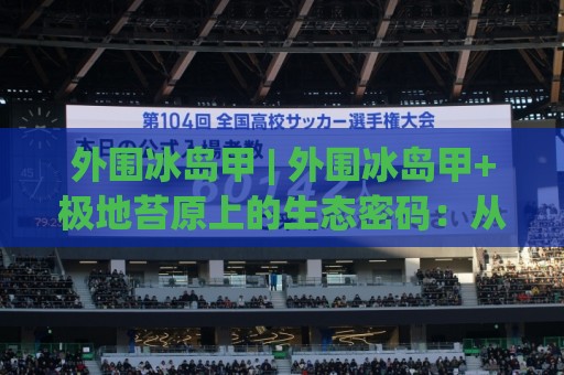 外围冰岛甲 | 外围冰岛甲+极地苔原上的生态密码：从地质构造到气候韧性，外围冰岛甲为何成为2026年自然探索新焦点？🔱最全手机信誉让球网受让视频半全场动画水位精彩片段