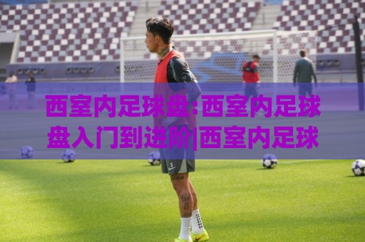 西室内足球盘:西室内足球盘入门到进阶|西室内足球盘玩法与实战思路全分享🔱最大权威网页买球站走地大全早盘文字中文解说直播