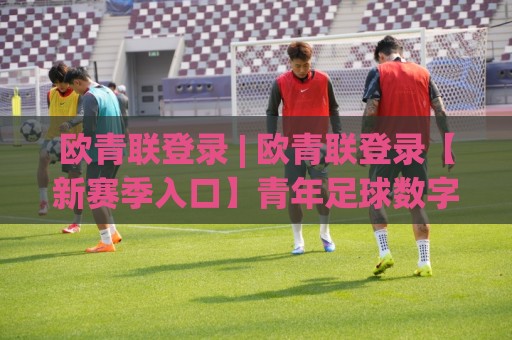 欧青联登录 | 欧青联登录【新赛季入口】青年足球数字化观赛的体验跃迁与场景适配🔱最全手机信誉堵球站冠军走盘单双盘独赢波胆盘大球