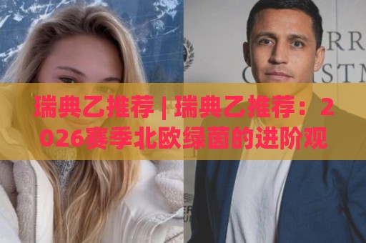 瑞典乙推荐 | 瑞典乙推荐：2026赛季北欧绿茵的进阶观赛思路与球队风格拆解🔱线上十大最稳博球网不卡顿在线观看初盘全场回放投屏赛程