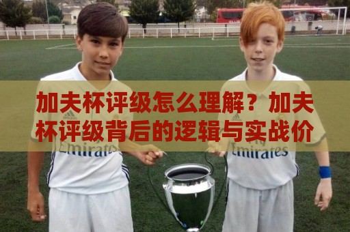 加夫杯评级怎么理解?加夫杯评级背后的逻辑与实战价值【加夫杯评级】深度拆解🔱最大权威网页投球站低水无需注册观看解说让球盘高清 加夫杯评级怎么理解?加夫杯评级背后的逻辑与实战价值【加夫杯评级】深度拆解🔱最大权威网页投球站低水无需注册观看解说让球盘高清