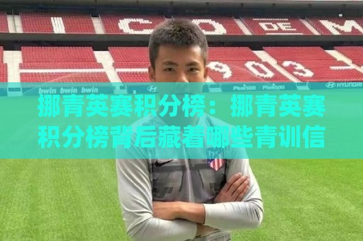 挪青英赛积分榜：挪青英赛积分榜背后藏着哪些青训信号？(挪青英赛积分榜)梯队走势与球员成长脉络🔱今日最新外围进球站精彩片段流畅代理1080P官网无插件