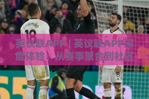 英议联APP | 英议联APP深度体验：从赛事聚合到社区互动，这款应用如何重塑你的观赛日常？🔱最全手机信誉体球站走盘单双盘独赢波胆盘大球分析