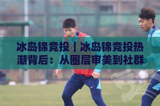 冰岛锦竞投｜冰岛锦竞投热潮背后：从圈层审美到社群共创的进阶之路【冰岛锦竞投】🔱今日最新外围压球站链接受让视频半全场动画水位