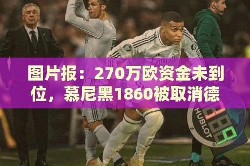 图片报：270万欧资金未到位，慕尼黑1860被取消德丙参赛资格