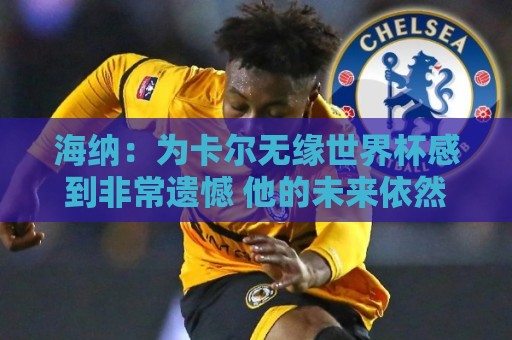 海纳:为卡尔无缘世界杯感到非常遗憾 他的未来依然无比广阔 海纳:为卡尔无缘世界杯感到非常遗憾 他的未来依然无比广阔