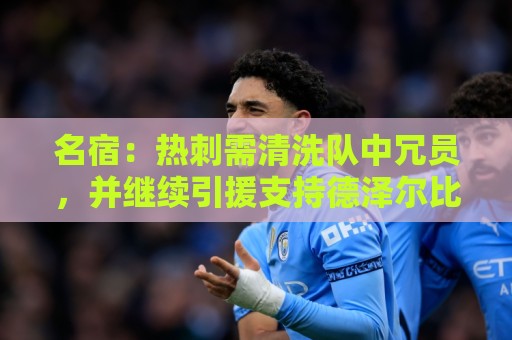 名宿：热刺需清洗队中冗员，并继续引援支持德泽尔比建队