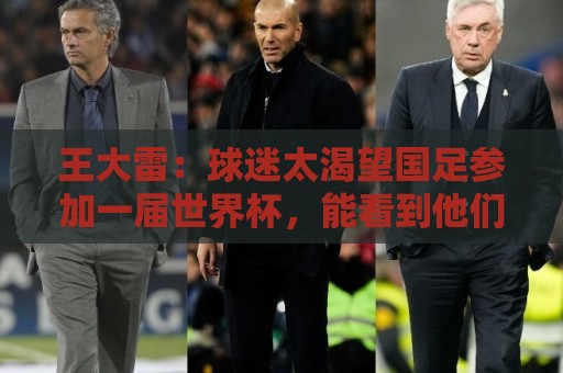 王大雷：球迷太渴望国足参加一届世界杯，能看到他们对足球的热爱